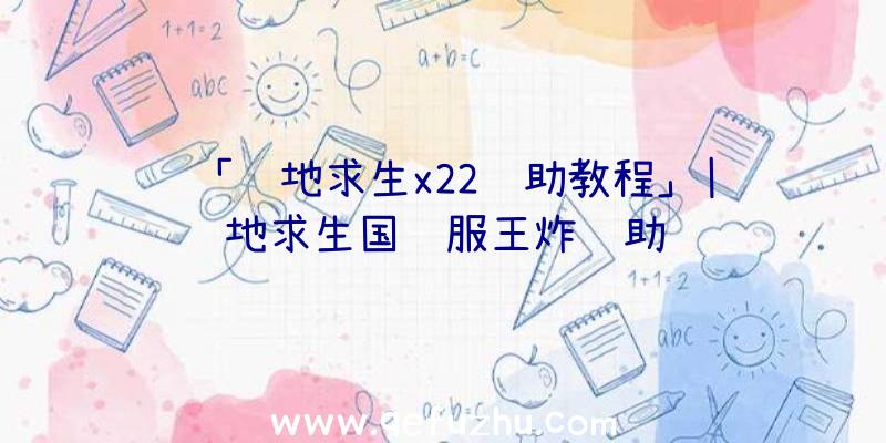 「绝地求生x22辅助教程」|绝地求生国际服王炸辅助